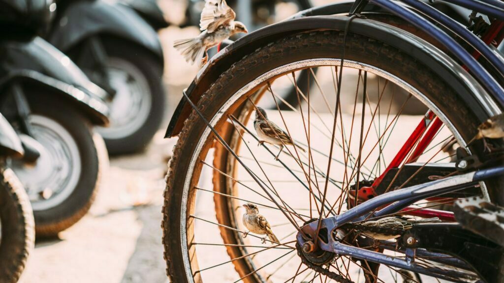 Significado dos sonhos com bicicleta parada
