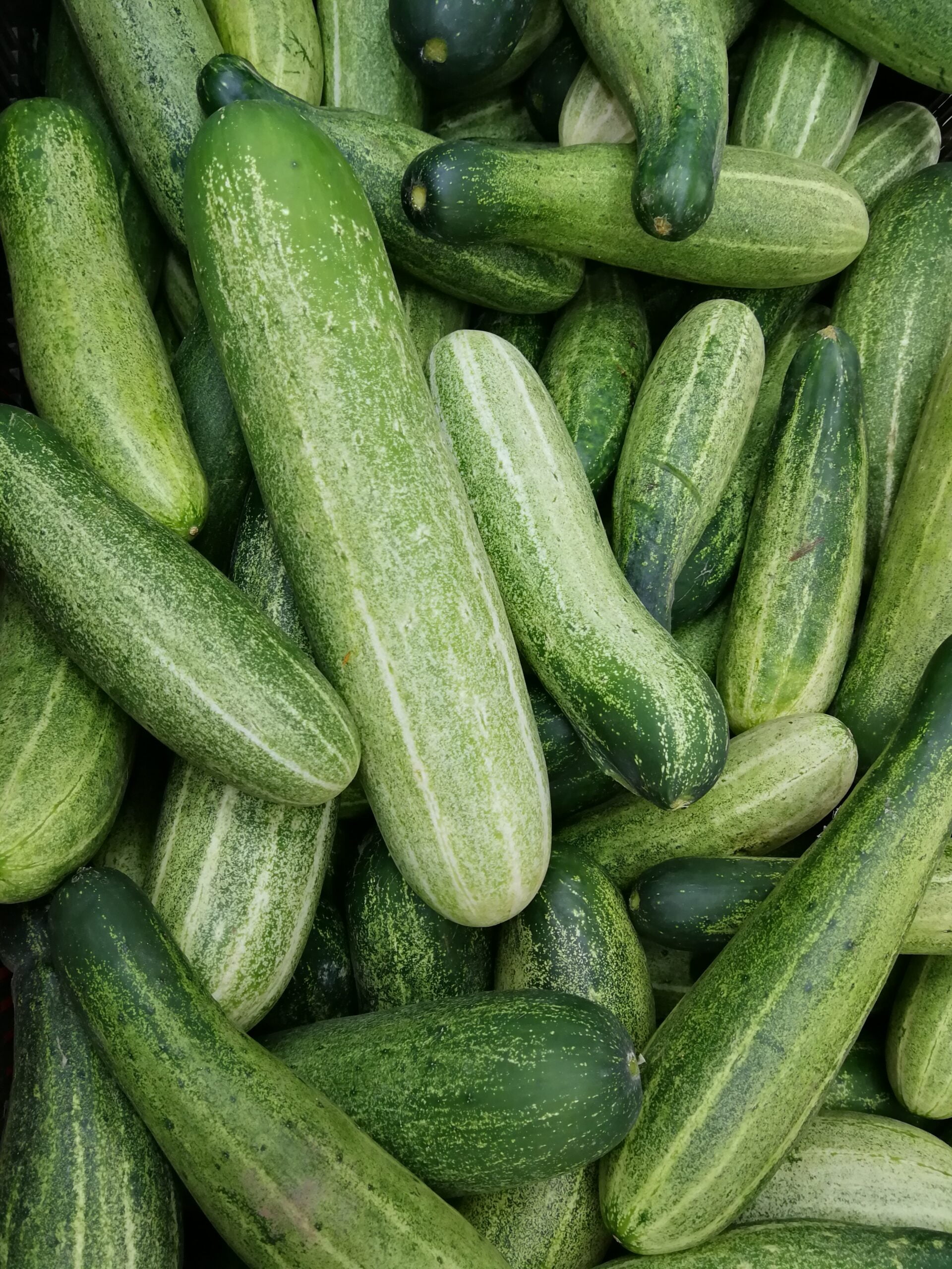 sonhar com pepino