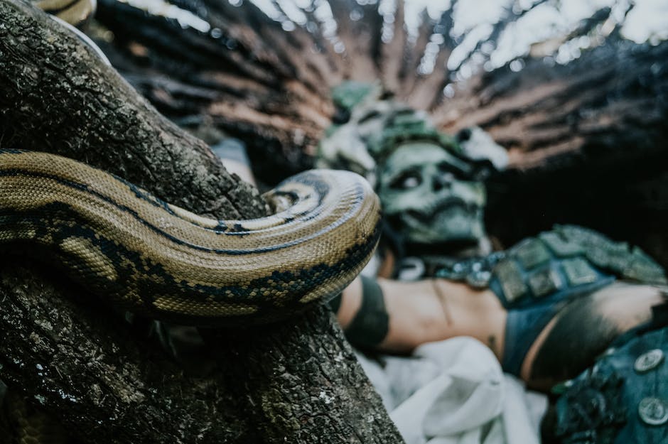 Descubra O Significado Bíblico De Sonhar Com Cobra Azul 1980